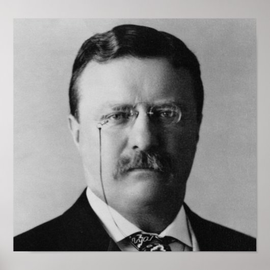 Theodore Roosevelt Poster (Voorkant)