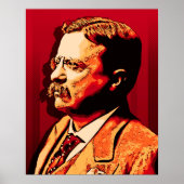 Theodore Roosevelt Poster (Voorkant)