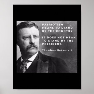Theodore Roosevelt Pro-democratie Anti-trump Patri Poster
