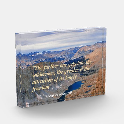 Theodore Roosevelt Quotation Fotoblokken (Links)