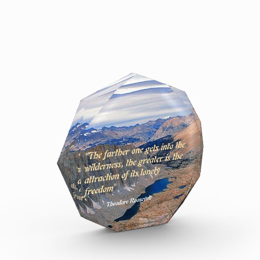 Theodore Roosevelt Quotation Fotoblokken (Links)