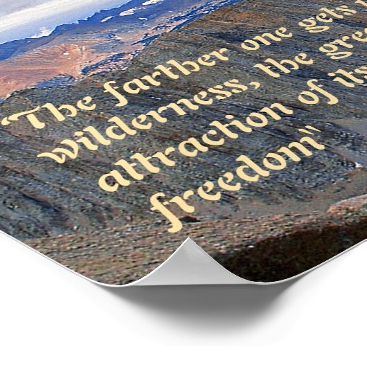 Theodore Roosevelt Quotation Poster (Hoek)