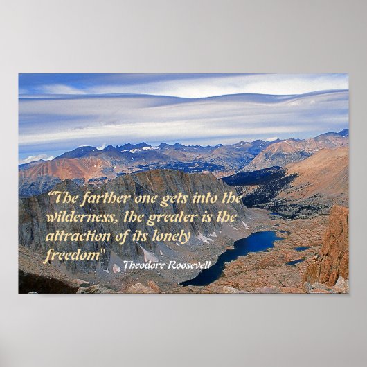 Theodore Roosevelt Quotation Poster (Voorkant)