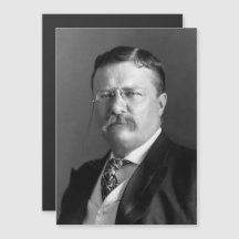 Theodore Roosevelt Teddy President