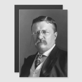 Theodore Roosevelt Teddy President