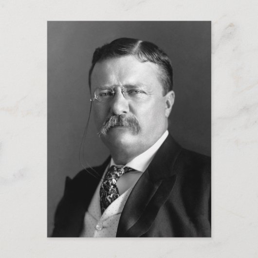 Theodore Roosevelt Teddy President Briefkaart (Voorkant)