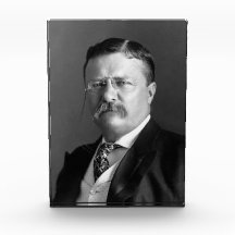 Theodore Roosevelt Teddy President