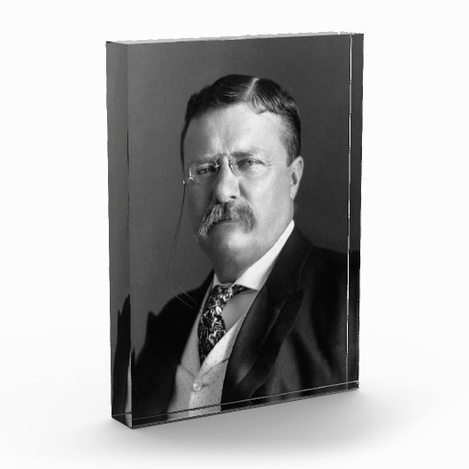 Theodore Roosevelt Teddy President Fotoblokken (Links)