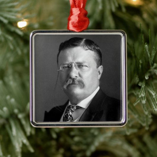 Theodore Roosevelt Teddy President Metalen Ornament (Boom)