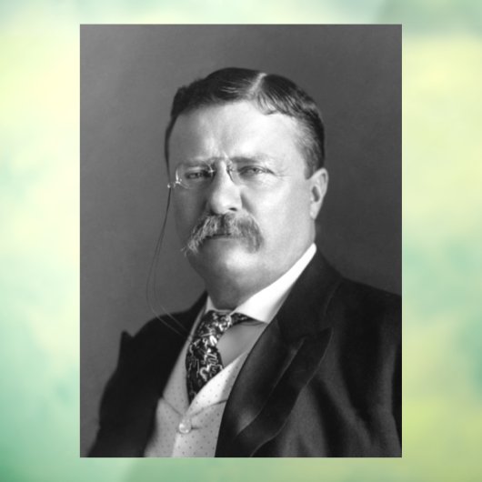 Theodore Roosevelt Teddy President Raamsticker (Vel 3)