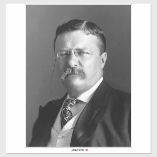 Theodore Roosevelt Teddy President Sticker (Vel)