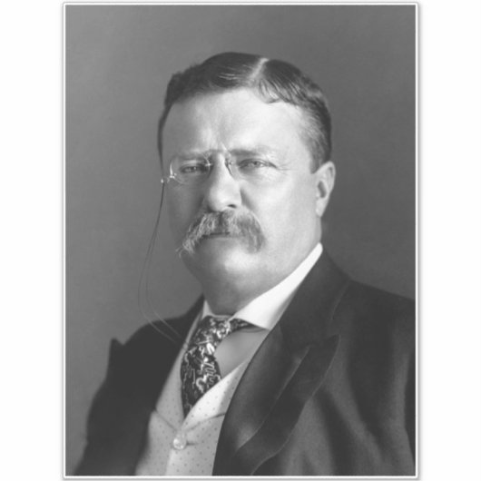 Theodore Roosevelt Teddy President Sticker (Voorkant)