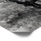 Theodore Roosevelt - The Rough Rider - 1898 Poster (Hoek)