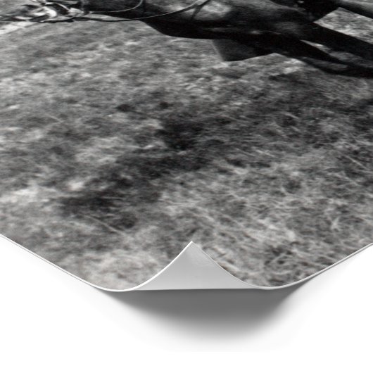 Theodore Roosevelt - The Rough Rider - 1898 Poster (Hoek)