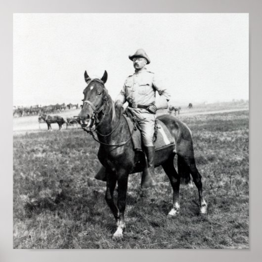 Theodore Roosevelt - The Rough Rider - 1898 Poster (Voorkant)