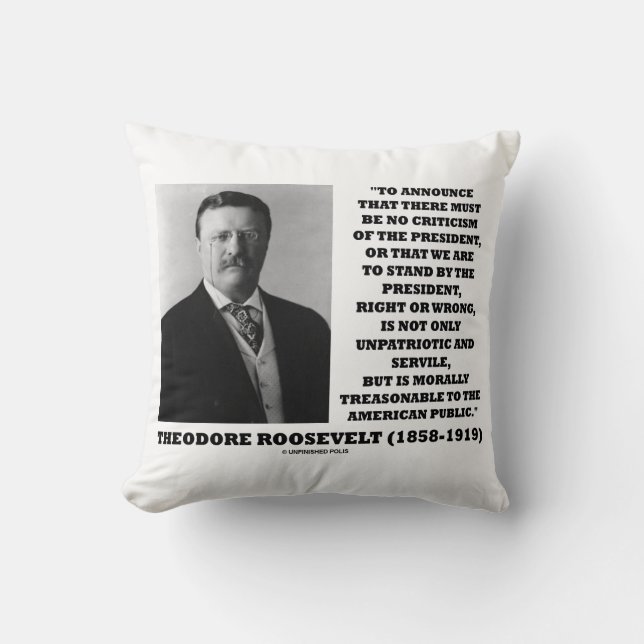 Theodore Roosevelt Tredelijke American Public Kussen (Voorkant)