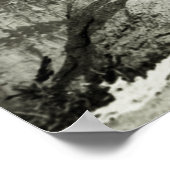  Theodore Roosevelt Yosemite Poster (Hoek)