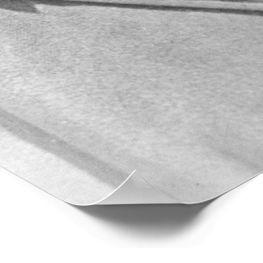 Theodore "Teddy" Roosevelt Poster (Hoek)