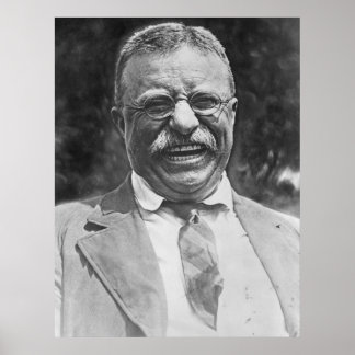 Theodore "Teddy" Roosevelt Poster