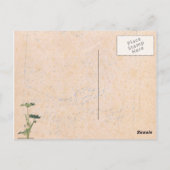 Theologieën Briefkaart (Achterkant)