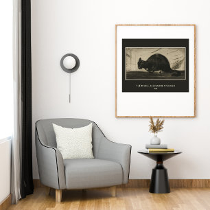 Théophile Steinlen, Black Cat Arching it back Poster