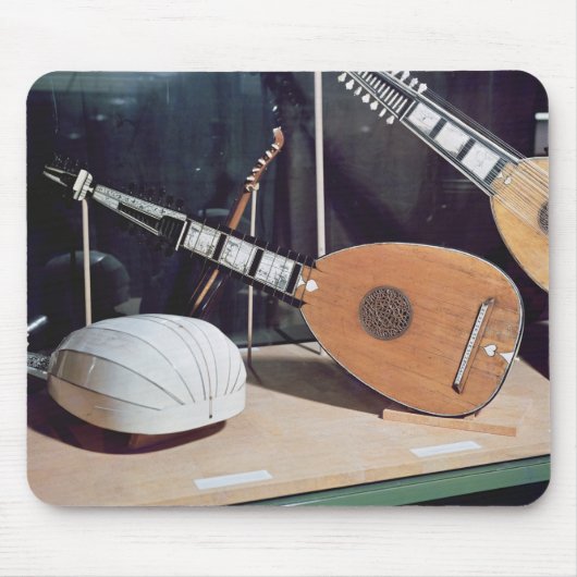 Theorbo, 1637 muismat (Voorkant)