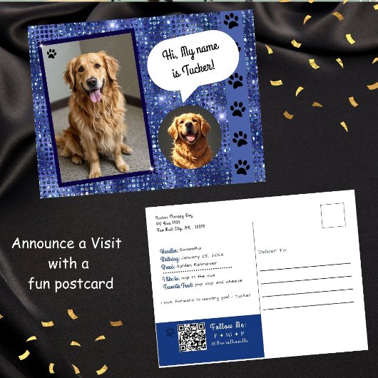 Therapiehond Bezoek Blue Sparkle Briefkaart