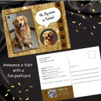 Therapiehond Bezoek Gold Sparkle