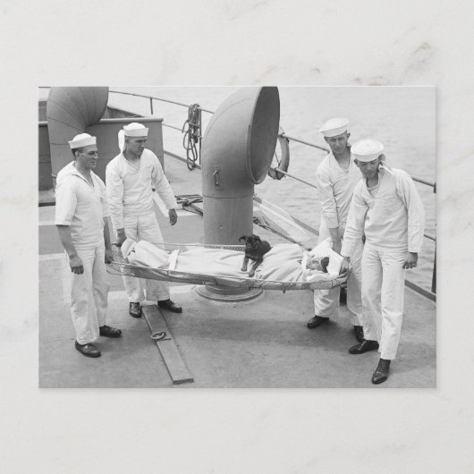 Therapy Dog, begin jaren 1900 Briefkaart (Voorkant)