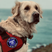 Therapy Dog DO NOT STARTLE OR TOUCH Custom Text