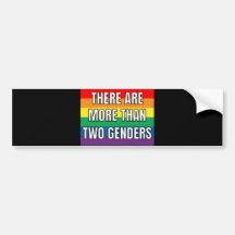 There Are More Than Two Genders