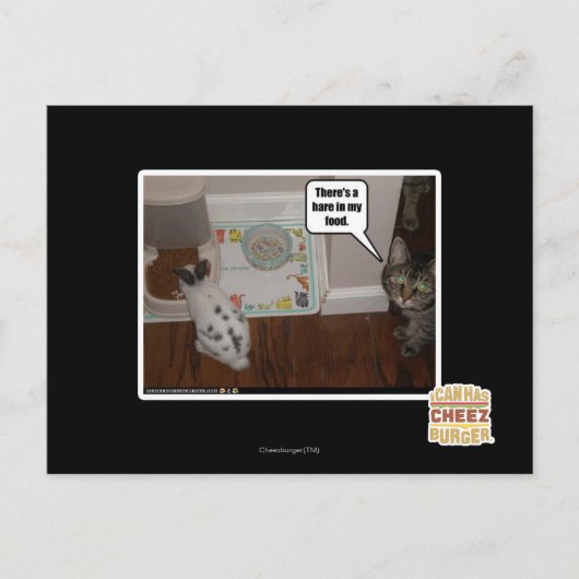 There's a hare in my food. briefkaart (Voorkant)