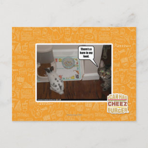 There's a hare in my food. briefkaart