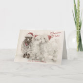 There's Always One - Angora Christmas Goats  Kaart (Voorkant)