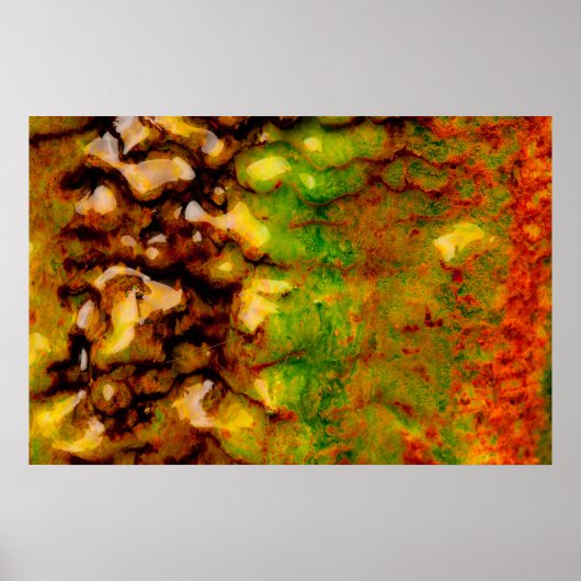 Thermisch ecosysteem poster (Voorkant)