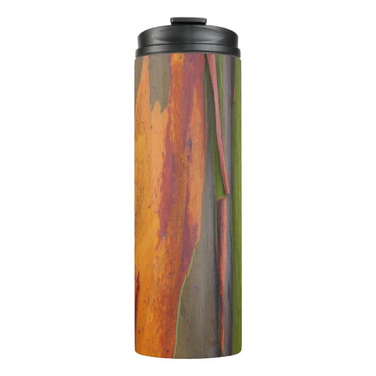 Thermische Tumbler 07 - Regenboog Eucalyptus Thermosbeker (Voorkant)