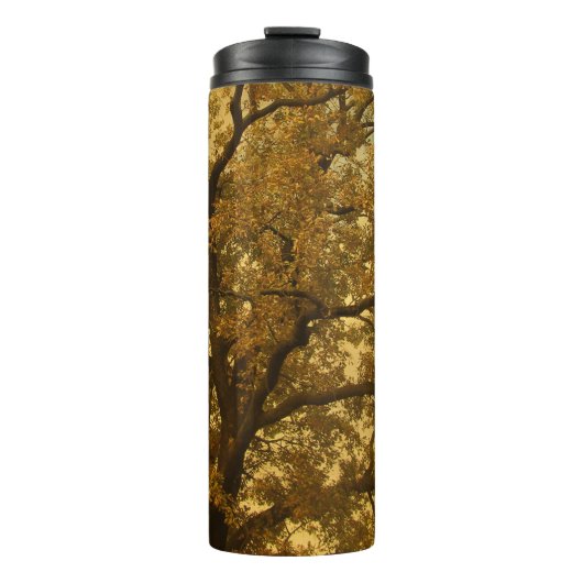 Thermische Tumbler Herfst Massive Tree Yellow Thermosbeker (Voorkant)