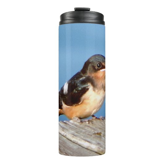 thermische tumbler van Barn Swallow Thermosbeker (Voorkant)