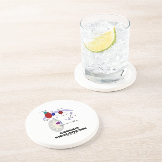 Thermogenese in bruin en dipose weefsel zandsteen onderzetter (Zijkant)