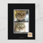 thermometer briefkaart (Voorkant)