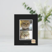 thermometer briefkaart (Staand voorkant)