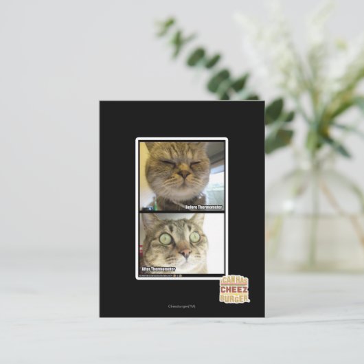 thermometer briefkaart (Staand voorkant)