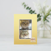 thermometer briefkaart (Staand voorkant)