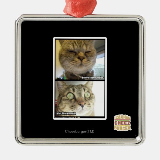 thermometer metalen ornament (Voorkant)