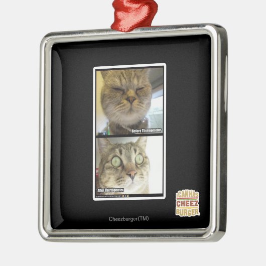 thermometer metalen ornament (Links)