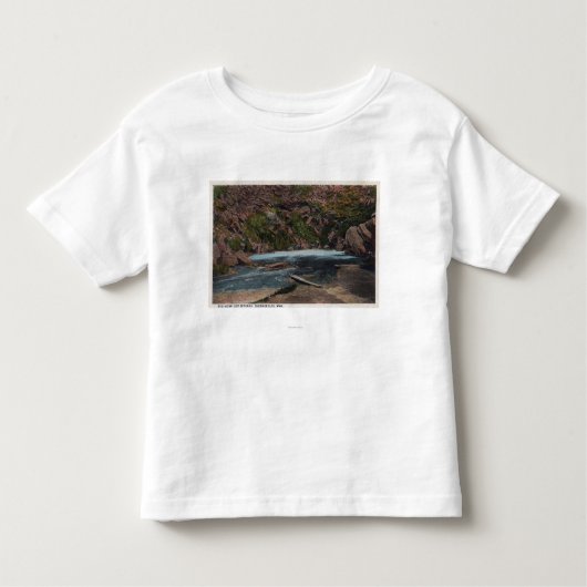 Thermopolis, WY - Big Horn Hot Springs Uitzicht Kinder Shirts (Voorkant)