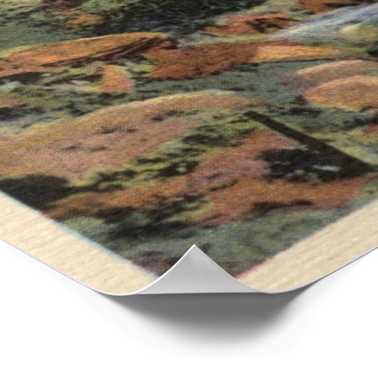 Thermopolis, Wyoming Poster (Hoek)