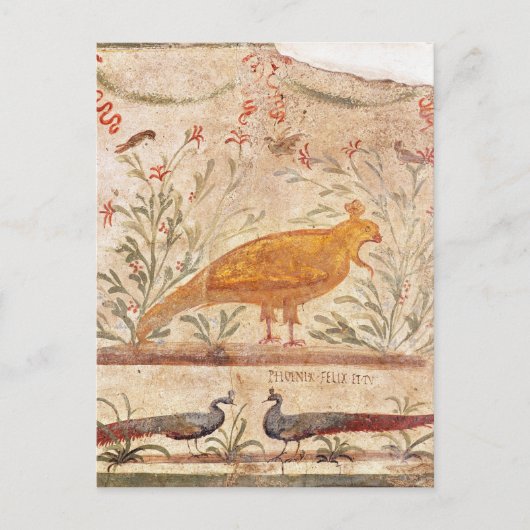 thermopolium met fenix en inscriptie briefkaart (Voorkant)
