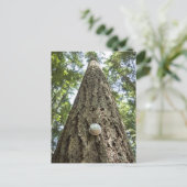 Thermostaat op een hoge boom in een bos briefkaart (Staand voorkant)