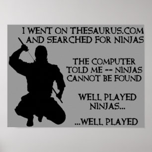 Thesaurus Ninja's Grappige Ninja Poster Bord